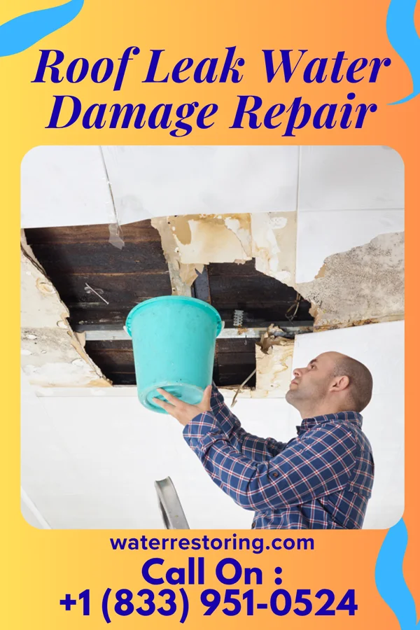 Roof Leak Water Damage Repair in Rogers, OH