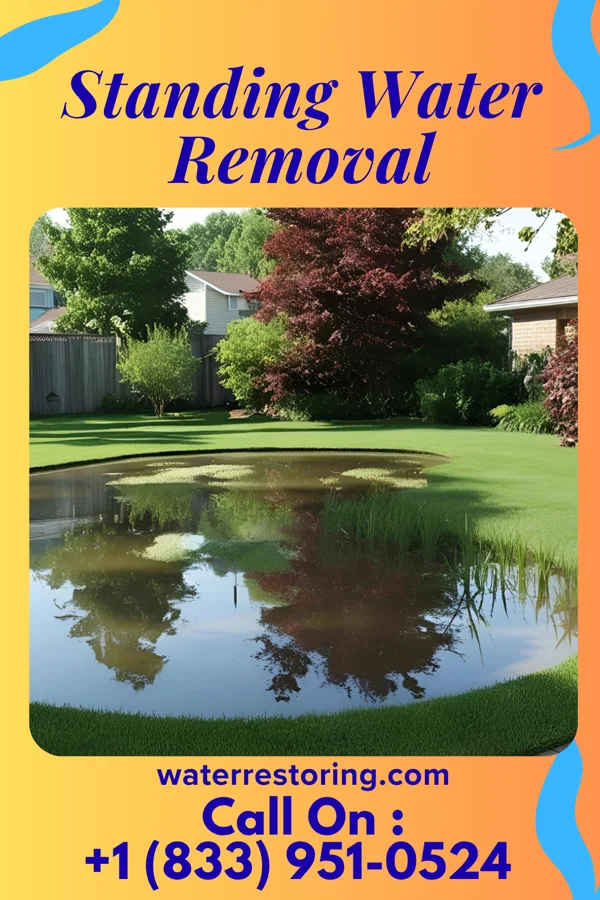 Standing Water Removal in Rogers, OH